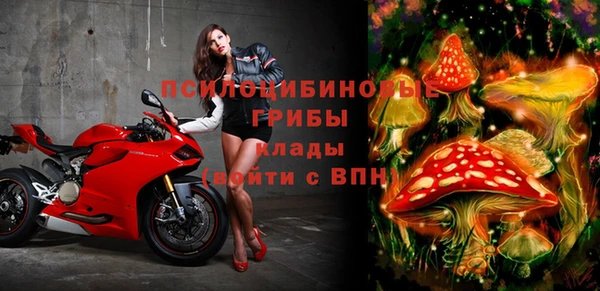 альфа пвп Нея