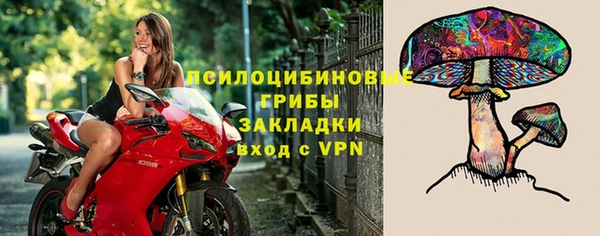 винт Нефтегорск