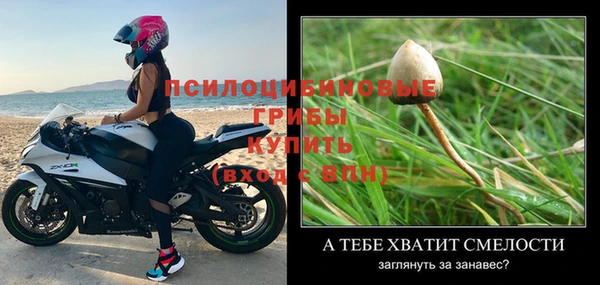 альфа пвп Нея